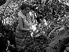 Allison Louise Downe In Pagan Island (1961)