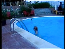 Blonde Gives Blowjob By Pool