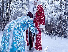 Frost Amused The Snow Maiden With His Dick.  Miniature.  Danakiss