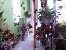 Flower Shop Girl Shows On Webcam