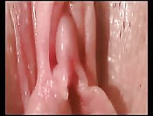 Fresh Pink Pussies Brought To You Close Up
