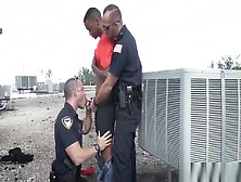 Free Videos Of Men Having Gay Sex Underwear Apprehended Breaking And