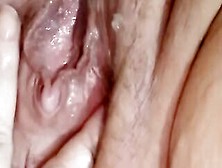 Squishy Vagina