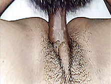 The Close-Up Fuck Of Pussy Having Sex