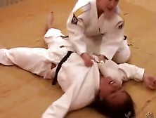 Judo Wrestling