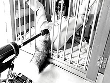A Day In A Life Of A Kitten: Ep. 1 - Squirting On Her Tail Bdsmlovers91
