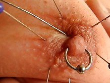 Tit Play Piercing