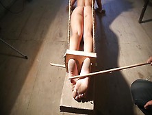 Bastinado Videos