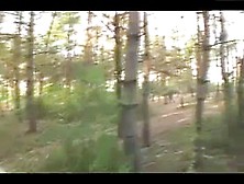 Ht - Fucking In The Forest
