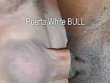 I M Breeding My Black Worker. Cuckold Husband Waits