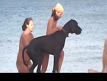 Romanian Beach Big Tits Voyeur