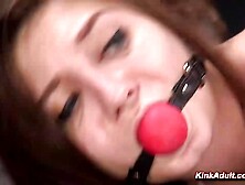 Jojo Kiss Undergoes Brutal Obedience Training