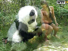 Molly Is Fucked By A Horny Panda Right In The Woods