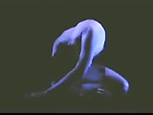 Erotic Dance Performance