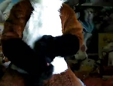Fursuit Pawing Xtube Porn Video From Corneilg. Mp4