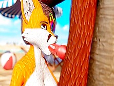 Beach Fun (Furry)