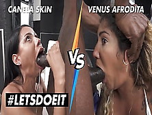 Letsdoeit - Canela Skin Vs Venus Afrodita - Who's The Best?