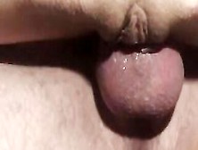 Plowed A Bitch With A Cumshot Close-Up With A Mega