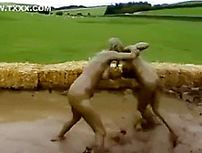 Naked Mud Wrestling