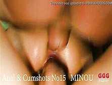 Anal & Cumshots No 15 With Minou