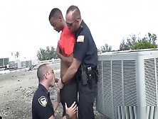 Small Cute Boys Gay Sex Video And Big Ass Black Xxx Apprehended Breaking