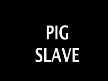 Pig Slave