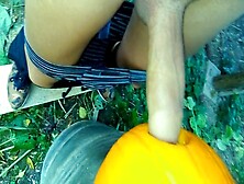 Sexy Twink Passionately Pounds A Pumpkin In The Garden