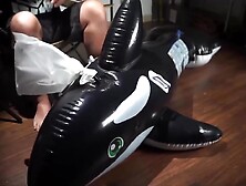 Chinese Bound Dolphin Breathplay