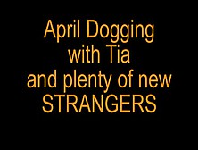 April Dogging With Tia - Xhamster. Com