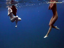 Sea Adventures On Tenerife Underwater