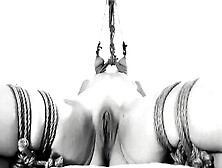 Hanging From Her Jugs And Nipples - Bound Up Struggle & Cum