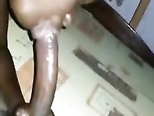Black Teen Sucking Black Cock