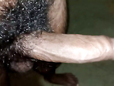 Desi Long Thick 9 Inch Cock Oral Sex