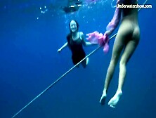 Underwater Show - Babe Action