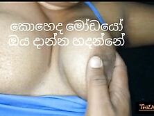 Sri Lankan Big Boobs Girl Having Fuck