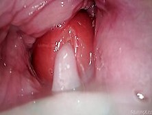 Camera In Vagina,  Cervix Pov,  "creampie"