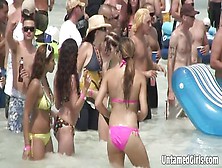 Sexy Mädels Feiern Am Strand