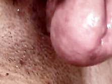 Morning Rimjob And Fellatio By Single Cougar