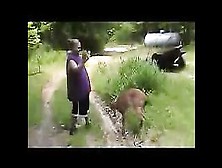 Idiot Pays The Price For Trying To Hug A Deer