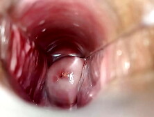 Orgasm Inside The Vagina Close-Up