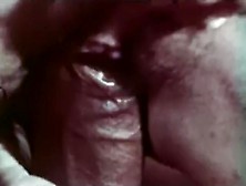 Vintage Interracial Xxx Video Sexy Woman Enjoying Large Dark Ding-Dong