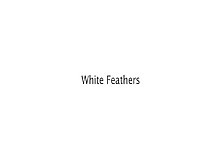 Felluciablow Video: White Feathers