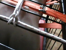 Restrained To A Cage - 5
