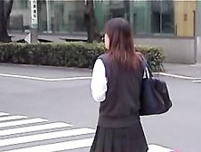 Hot College Babe Got Skirt Sharked After Crossing The Street
