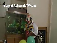 Ebony Shemales Sucks Black Midget Clowns Cock