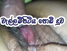 Wallampitiya Podi Duwa Fuck Video Sinhala