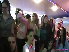 Eager Girls On Disco Sex Party Vol. 5