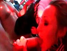 Horny Nymphos Get Entirely Crazy And Undressed At Hardcore Party
