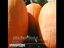 Huge Cannon Can Launch Pumpkins Over A Mile