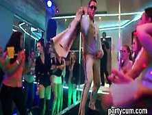 Unusual Chicks Get Absolutely Delirious And Undressed At Hardcore Party